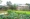 Bán nhà vườn mặt tiền đường Bình Mỹ,Xã Bình Mỹ,củ chi