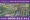 Bán đất nền dự án Lavender City ngay TP Biên Hòa giá chỉ từ 188t/rnền