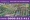 Dự án Lavender City ngay TP Biên Hòa giá chỉ từ 185tr/nền.Nơi gia tăng giá trị cuộc sống.